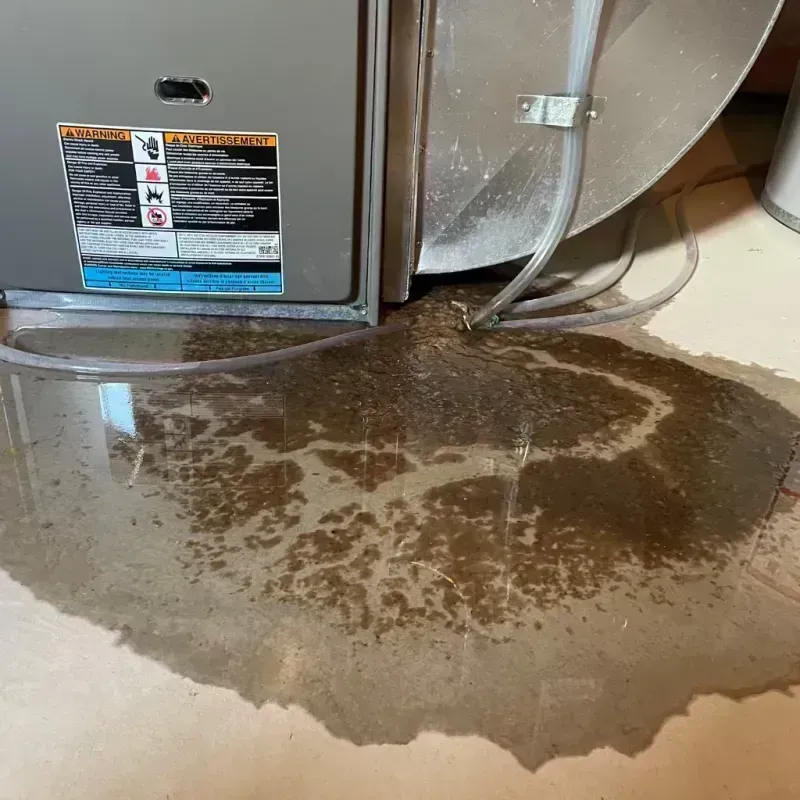 Appliance Leak Cleanup in Pelican Bay, TX